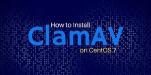 cai-clamAV-de-diet-virus